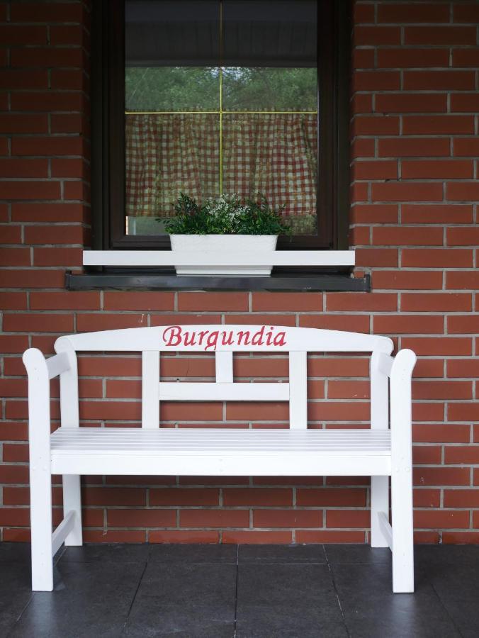 Niewinne Domki - Burgundia Żywiec Kültér fotó