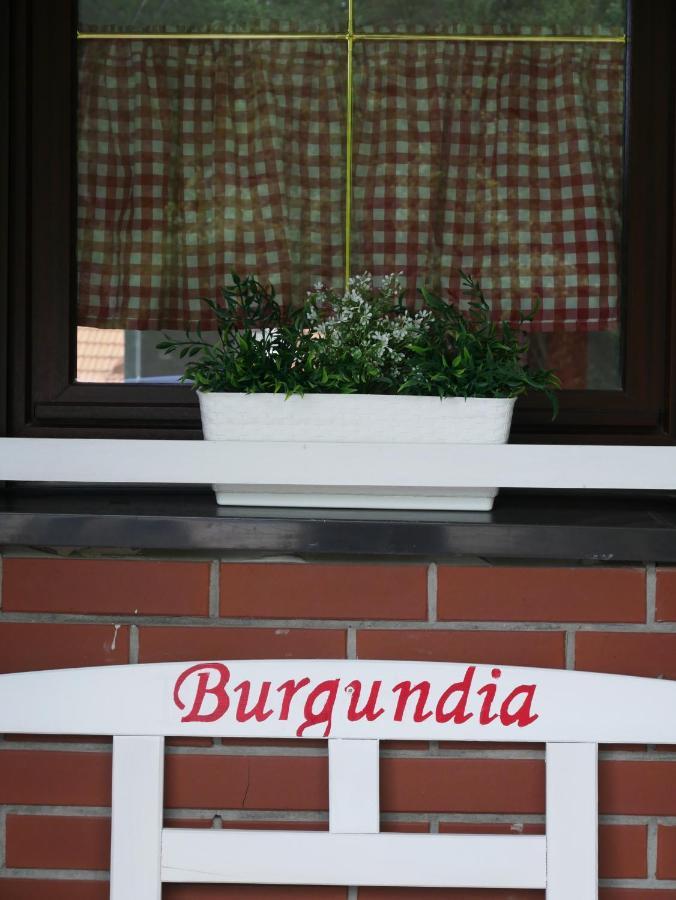 Niewinne Domki - Burgundia Żywiec Kültér fotó